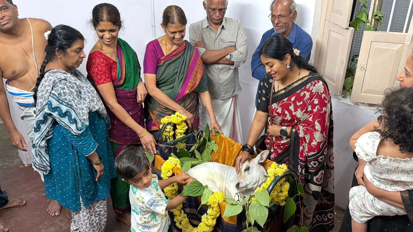 ಪುಟ್ಟ ಕರುವಿಗೆ ತೊಟ್ಟಿಲು ಶಾಸ್ತ್ರ! - News Karnataka
