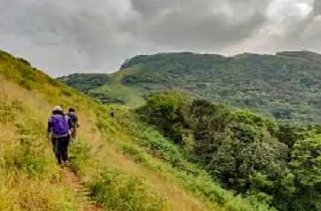 ಕುದುರೆಮುಖ, ಸೋಮೇಶ್ವರ, ಮೂಕಾಂಬಿಕಾ ವನ್ಯಜೀವಿ ವಲಯದಲ್ಲಿ ಚಾರಣ ನಿಷೇಧ! - News Karnataka