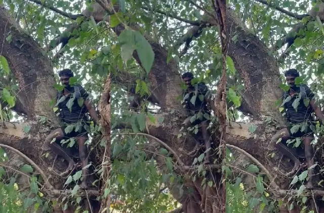 ಮಂಗಳೂರು : ಇತ್ತ ಕೆಲಸನೂ ಇಲ್ಲ ಅತ್ತ ಕರೆತಂದ ಸ್ನೇಹಿತನೂ ಇಲ್ಲದೆ ಕಂಗಲಾಗಿ ಮರವೇರಿ ಕೂತವನ ರಕ್ಷಿಸಿದ ಕದ್ರಿ ಪೊಲೀಸರು - News Karnataka