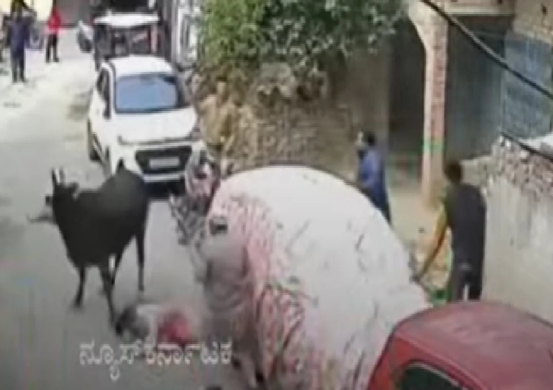 ನಡೆದುಕೊಂಡು ಹೋಗುತ್ತಿದ್ದ ಹುಡುಗಿಯ ಮೇಲೆ ಗೂಳಿ ದಾಳಿ; ತಪ್ಪಿದ ದುರಂತ! - News Karnataka