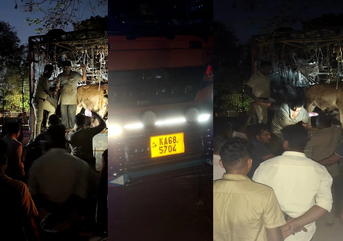 ಮಂಗಳೂರು: ಅಕ್ರಮ ಗೋ ಸಾಗಾಟ, 35 ಜಾನುವಾರುಗಳ ರಕ್ಷಣೆ - News Karnataka