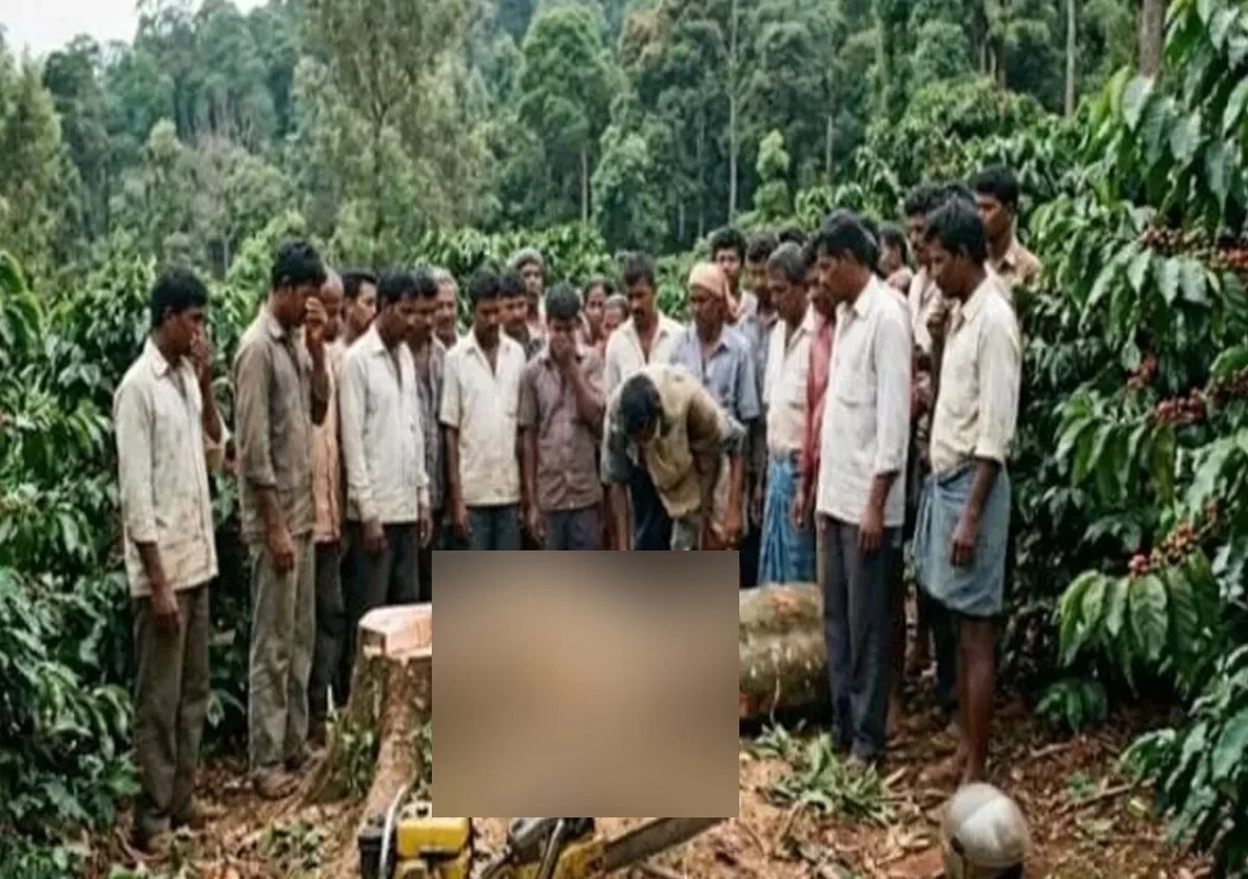 ಮರ ಕಡಿಯುವ ವೇಳೆ ಕೆಳಗೆ ಬಿದ್ದು ಕಾರ್ಮಿಕ ಮೃತ್ಯು - News Karnataka