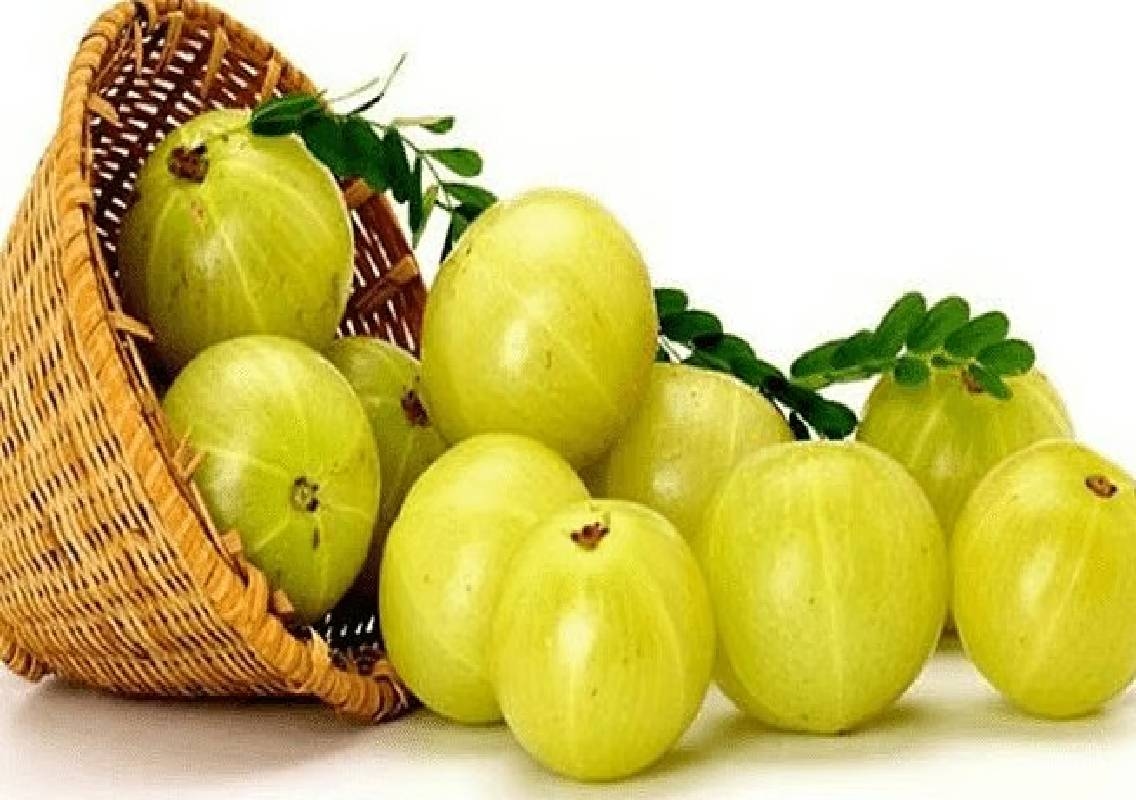 ದಿನಕ್ಕೊಂದು ನೆಲ್ಲಿಕಾಯಿ ಸೇವಿಸಿ! - News Karnataka