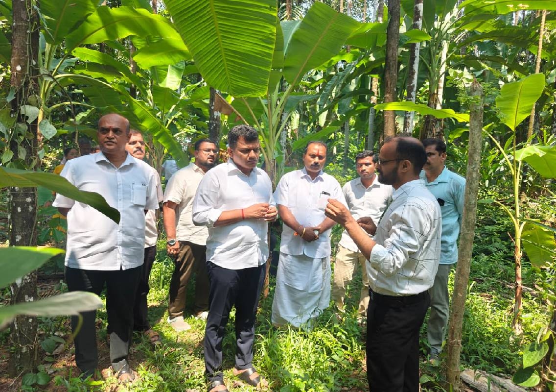 ಕೇಂದ್ರ ಸರ್ಕಾರದಿಂದ ಅಡಿಕೆ ಎಲೆಚುಕ್ಕಿ ರೋಗ ನಿಯಂತ್ರಣಕ್ಕೆ ಕ್ರಮ - News Karnataka