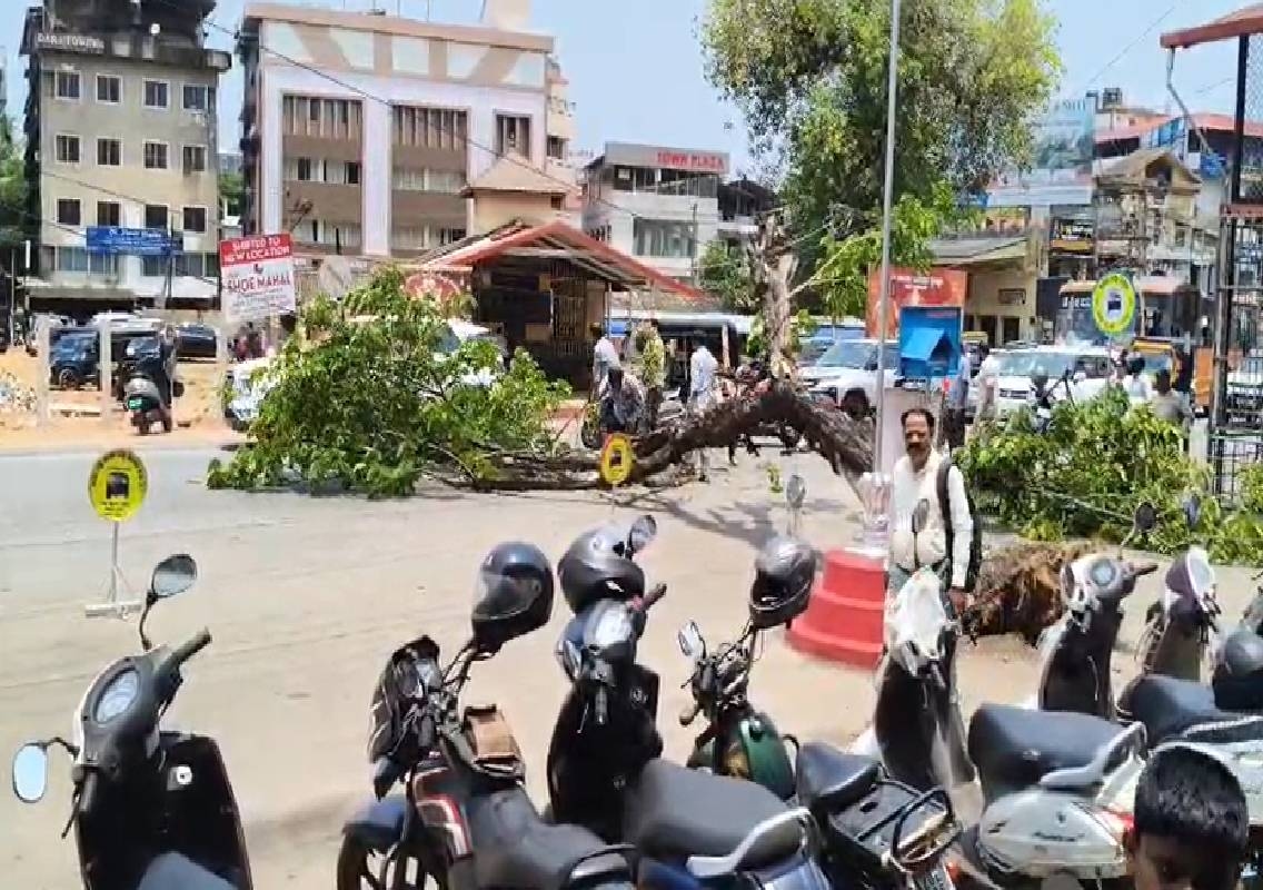 ಉಡುಪಿ: ರಸ್ತೆ ಮೇಲೆ ಉರುಳಿಬಿದ್ದ ಮರ: ಕೂದಲೆಳೆ ಅಂತರದಲ್ಲಿ ಪಾರಾದ ಮಹಿಳೆ - News Karnataka