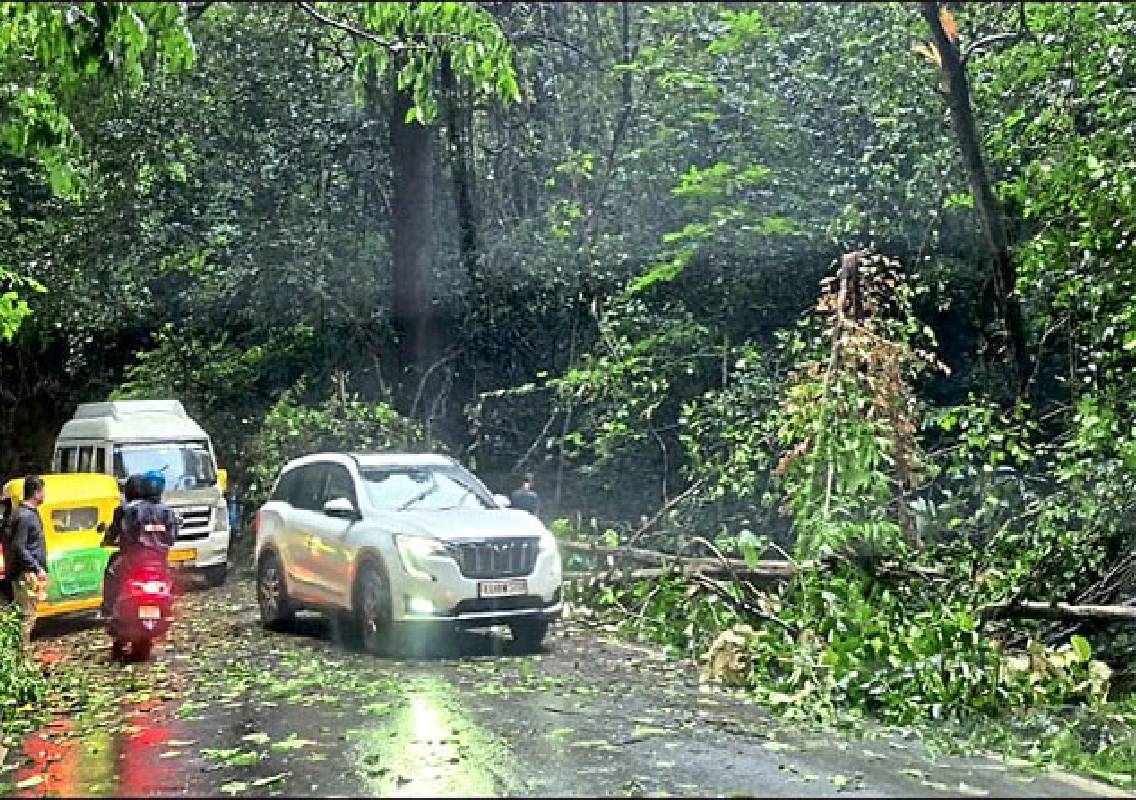 ರಸ್ತೆಗೆ ಉರುಳಿದ ಮರ; ಆಗುಂಬೆ ಘಾಟಿಯಲ್ಲಿ ಸಂಚಾರ ಸ್ಥಗಿತ! - News Karnataka