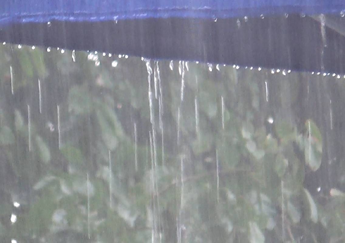 ಮಂಗಳೂರು : ಇನ್ನೂ ಕೇರಳಕ್ಕೆ ಎಂಟ್ರಿ ಕೊಡದ ಮುಂಗಾರು ಮಳೆ - News Karnataka