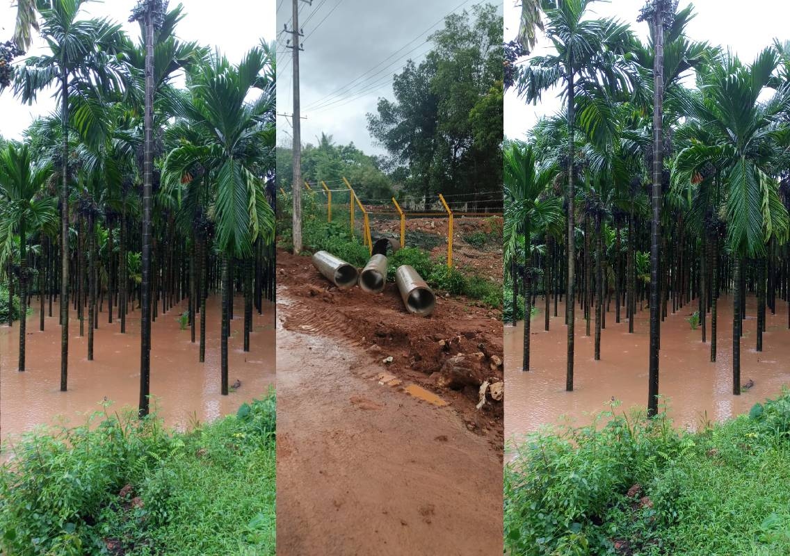 ಉಡುಪಿ: ಜಲಜೀವನ್ ಮಿಷನ್ ಕಾಮಗಾರಿ ಅವ್ಯವಸ್ಥೆ: ಕೃಷಿಕರಿಗೆ ಸಂಕಷ್ಟ – ಕೃತಕ ನೆರೆ ಸೃಷ್ಟಿ - News Karnataka