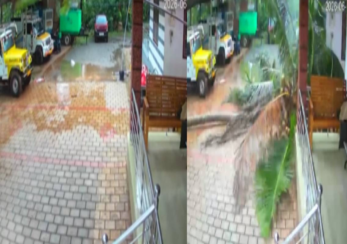 ಮನೆಯ ಅಂಗಳಕ್ಕೆ ಉರುಳಿದ ತೆಂಗಿನ ಮರ; ಕೂದಲೆಳೆಯ ಅಂತರದಲ್ಲಿ ಪಾರಾದ ವ್ಯಕ್ತಿ! - News Karnataka
