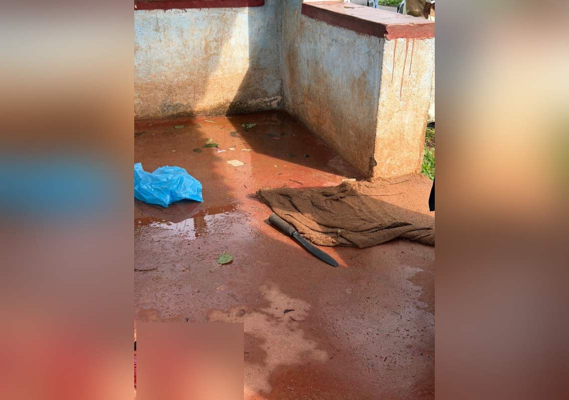 ಕಾಲೇಜಿಗೆ ತೆರಳಲು ಬಸ್ಗಾಗಿ ಕಾಯುತ್ತಿದ್ದ ವಿದ್ಯಾರ್ಥಿನಿಯ ಮೇಲೆ ಯುವಕನೊಬ್ಬ ಚೂರಿಯಿಂದ ದಾಳಿ! - News Karnataka