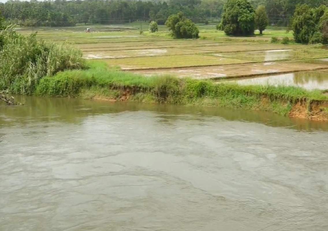 ಉಡುಪಿ: ವಾರಾಹಿ ಕುಡಿಯುವ ನೀರಿನ ಪೈಪ್ಲೈನ್ ಕಾಮಗಾರಿಯ ನಿರ್ಲಕ್ಷ್ಯ; ರೈತರ ಬದುಕಿಗೆ ದೊಡ್ಡ ಸಂಕಷ್ಟ - News Karnataka