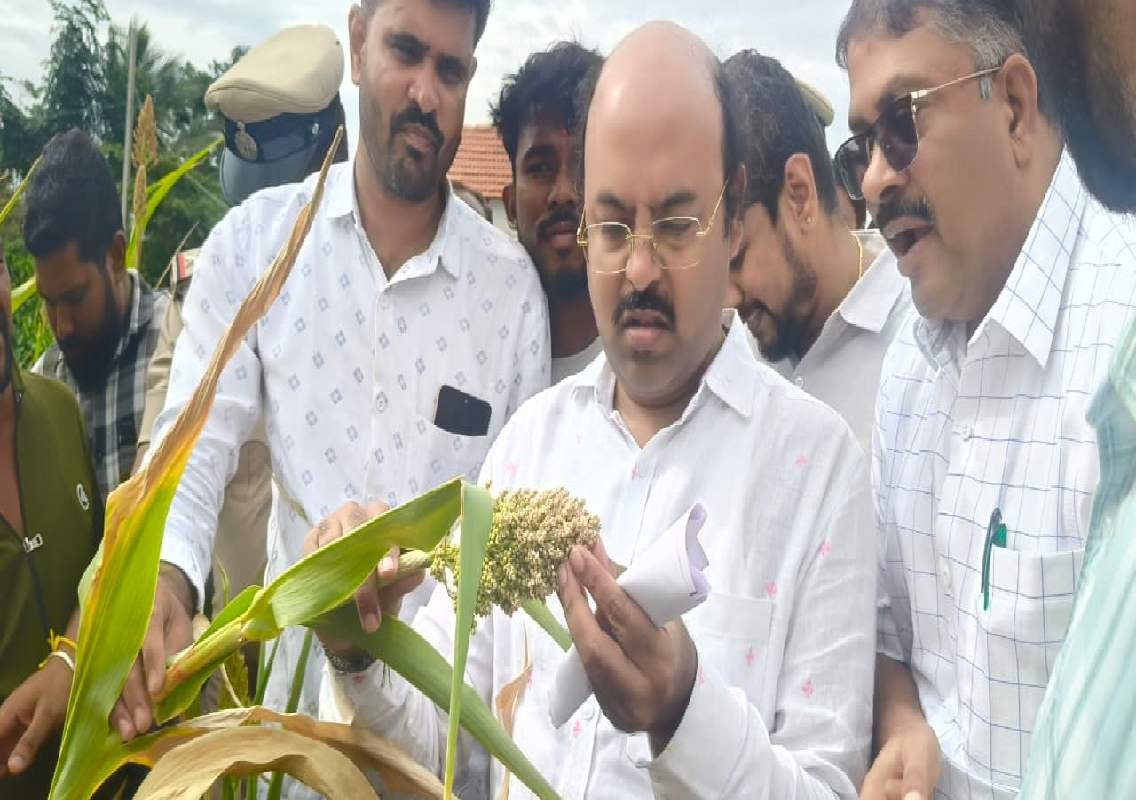 ನಂಜನಗೂಡು ತಾಲ್ಲೂಕಿನಲ್ಲಿ ಬರ ವೀಕ್ಷಣೆ ಮಾಡಿದ ಸಚಿವ ಡಾ. ಯತೀಂದ್ರ ಸಿದ್ದರಾಮಯ್ಯ - News Karnataka
