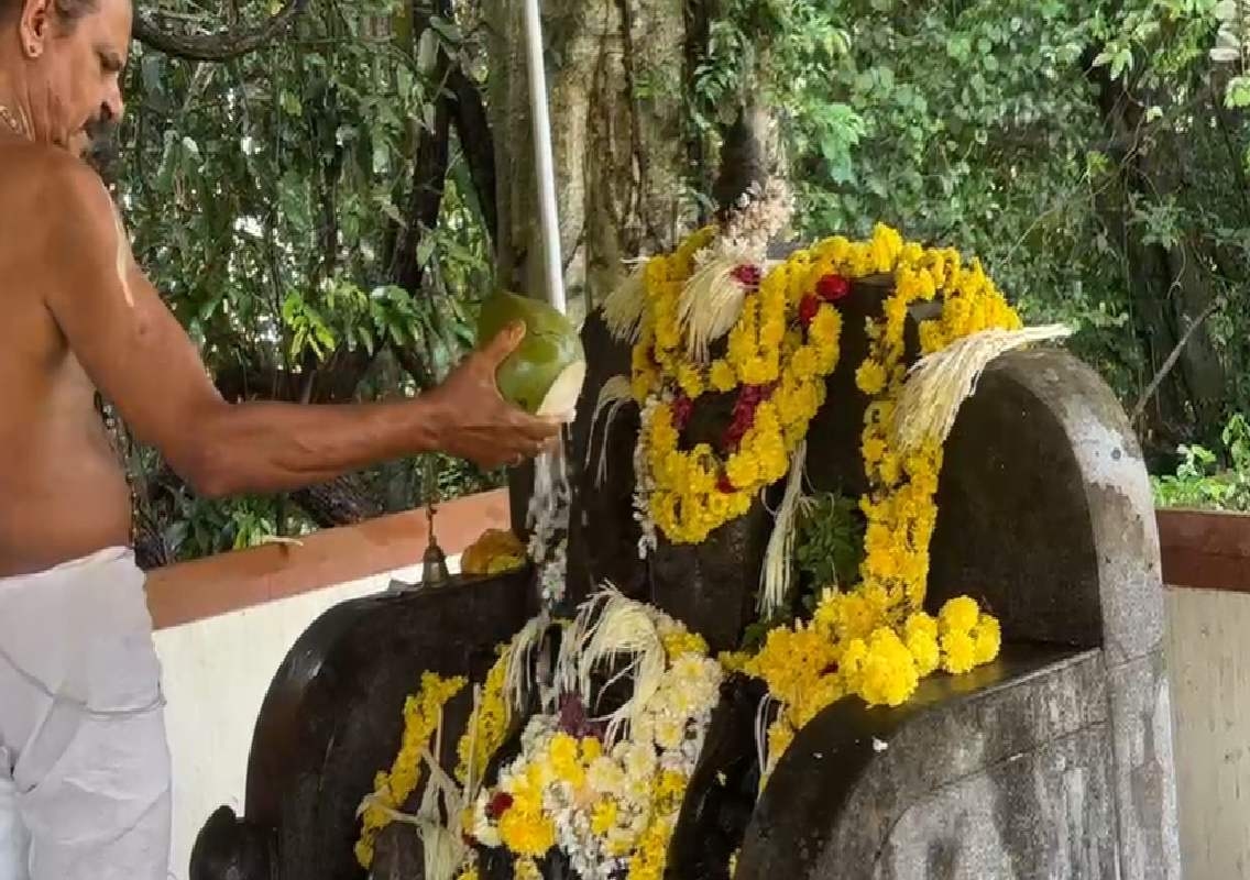ಉಡುಪಿ ಜಿಲ್ಲೆಯಾದ್ಯಂತ ಸಂಭ್ರಮದ ನಾಗರ ಪಂಚಮಿ: ನಾಗದೇವರಿಗೆ ತನು ಅರ್ಪಿಸಿ ವಿಶೇಷ ಪೂಜೆ ಸಲ್ಲಿಕೆ - News Karnataka