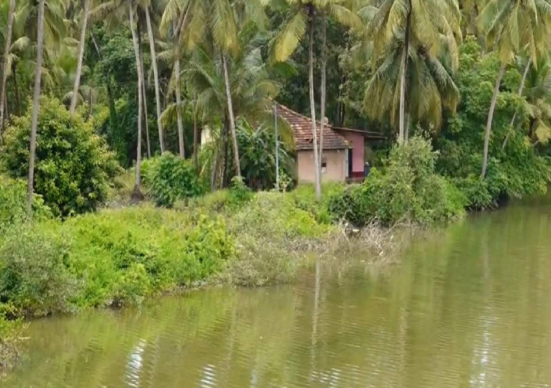 ಜಾರುಕುದ್ರು ಪ್ರದೇಶದ ಪಾಪನಾಶಿನಿ ನದಿಯ ತೀರದಲ್ಲಿ ಭೂ ಸವಕಳಿ: ಎರಡು ಎಕರೆಗೂ ಅಧಿಕ ಭೂಮಿ ನದಿ ಪಾಲು.! - News Karnataka