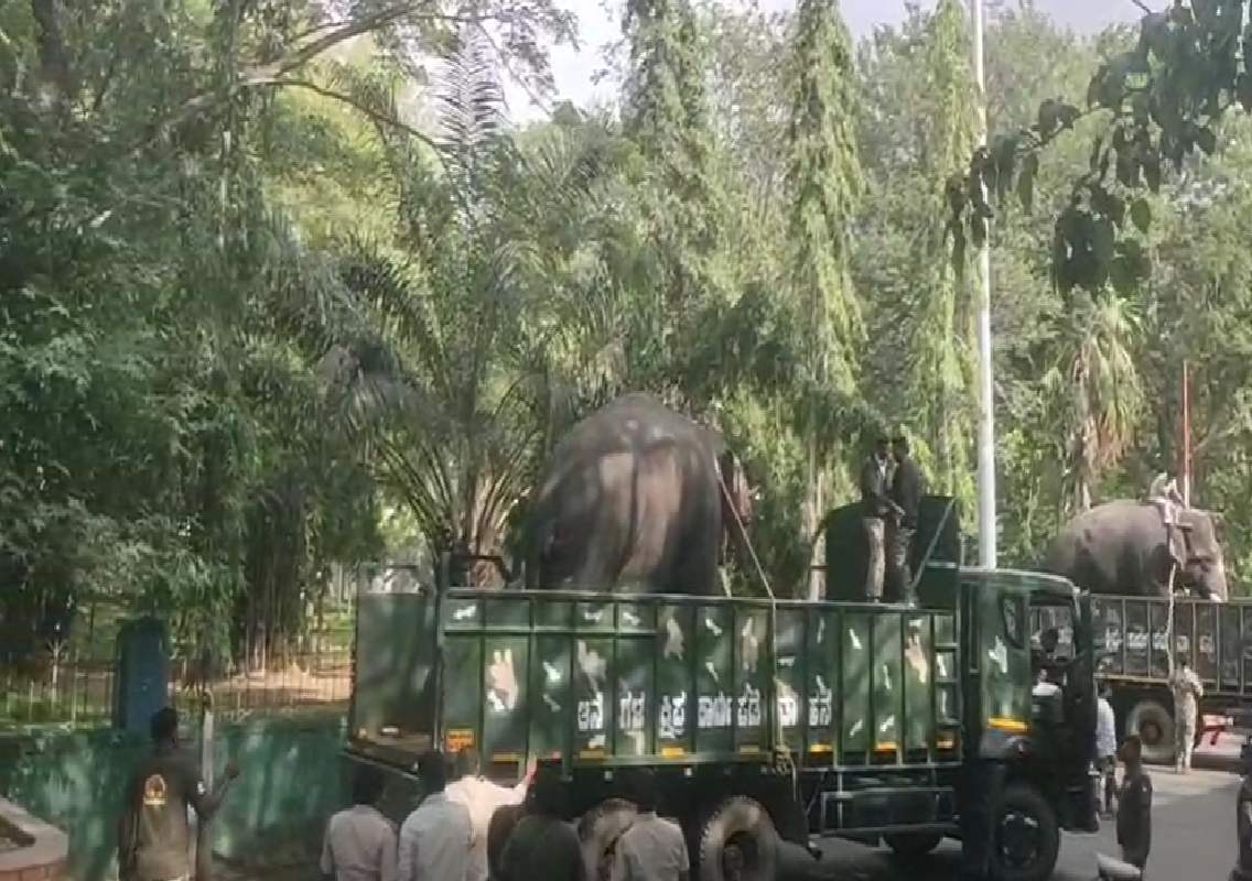 ಮೈಸೂರು ದಸರಾ ಮಹೋತ್ಸವ-2026; ಆನೆಗಳ ಮೊದಲ ತಂಡ ಮೈಸೂರಿಗೆ ಎಂಟ್ರಿ! - News Karnataka