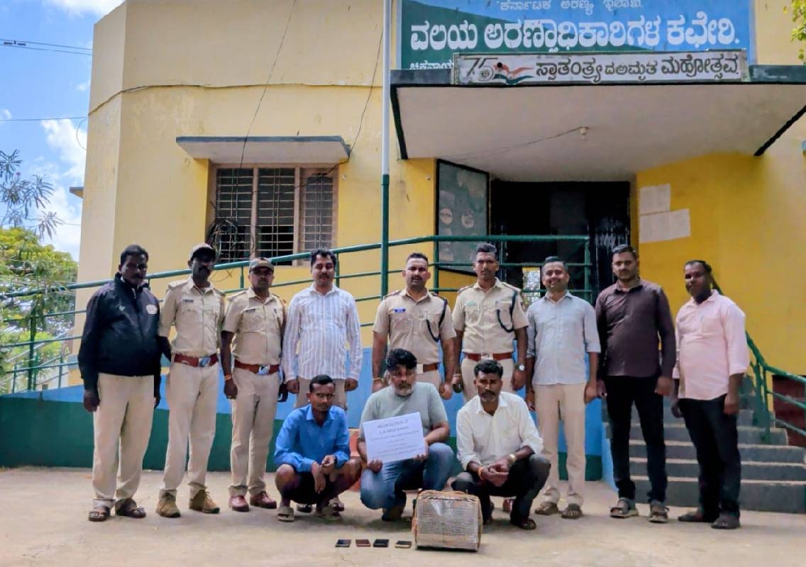 ಪುನುಗು ಬೆಕ್ಕಿನ ಅಕ್ರಮ ಸಾಗಣೆ – ಮೂವರ ಬಂಧನ! - News Karnataka