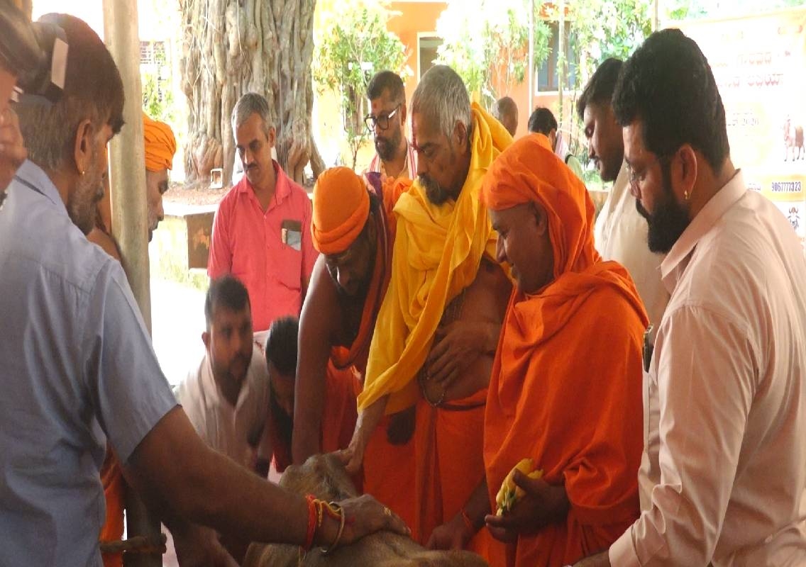 ಮಂಗಳೂರು : ಗೋ ಸಮ್ಮಾನ್ ಅಭಿಯಾನದ 3ನೇ ಹಂತಕ್ಕೆ ಚಾಲನೆ - News Karnataka