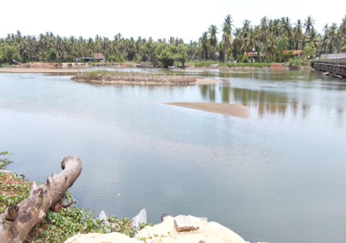 ಮಳೆ ಕೊರತೆ, ನೀರಿನ ಅಭಾವ; ಸಂಕಷ್ಟದಲ್ಲಿ ಮಟ್ಟುಗುಳ್ಳ ಬೆಳೆಗಾರರು! - News Karnataka