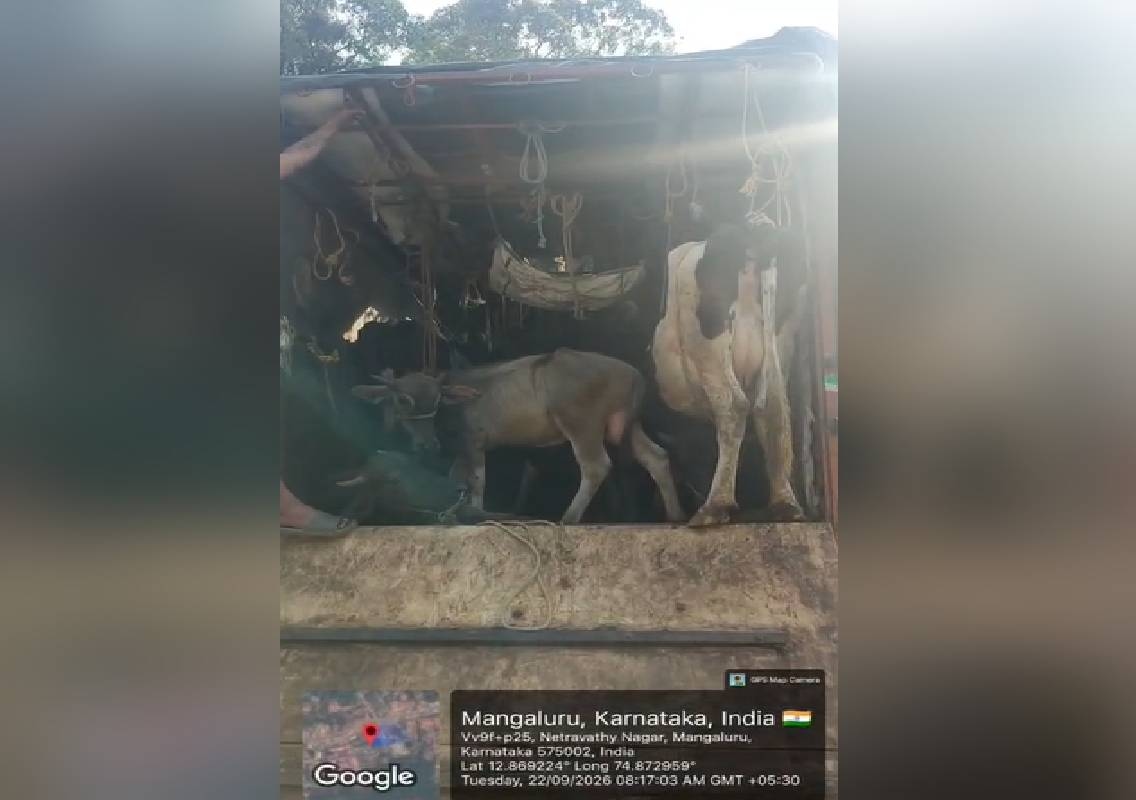 ಅಕ್ರಮ ಹಿಂಸಾತ್ಮಕ ರೀತಿಯಲ್ಲಿ ಜಾನುವಾರು ಸಾಗಾಟವನ್ನು ತಡೆದ ಮಂಗಳೂರು ಪೊಲೀಸರು - News Karnataka