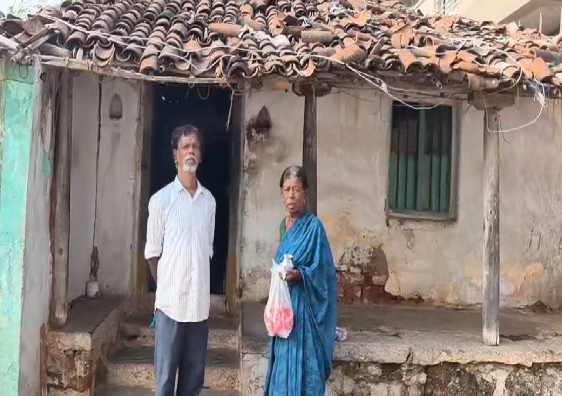 ಮೂಕ ಜೀವಿಗಳ ಕಣ್ಣೀರಿನ ಬದುಕು, ಜನಪ್ರತಿನಿಧಿಗಳೇ ಇತ್ತ ಒಮ್ಮೆ ತಿರುಗಿ ನೋಡಿ..! - News Karnataka