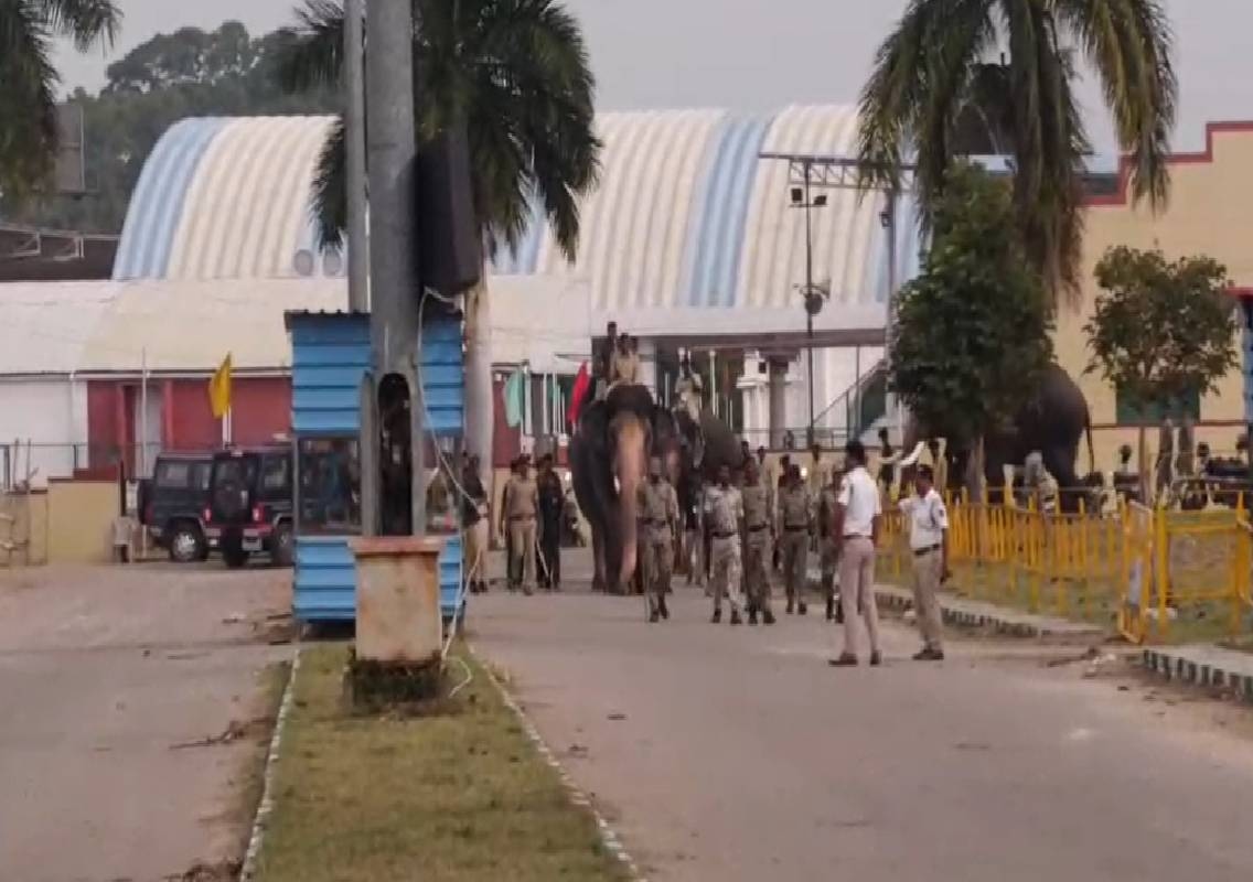 ಕುಶಾಲತೋಪಿನ ಸದ್ದಿಗೆ ಬೆದರದ ಗಜಪಡೆ, ಎರಡನೇ ಹಂತದ ತಾಲೀಮು ಯಶಸ್ವಿ! - News Karnataka