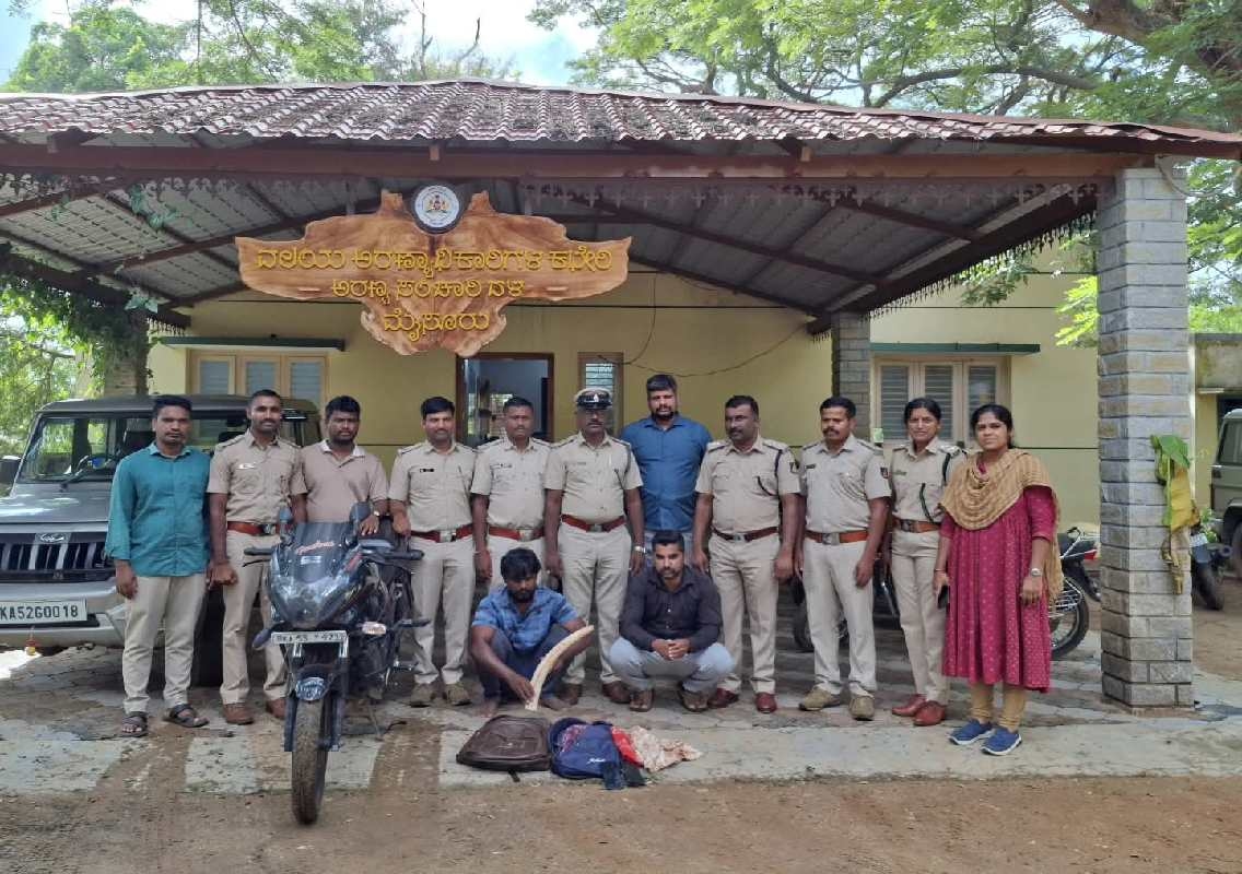 ಆನೆ ದಂತ ಮಾರಾಟದಲ್ಲಿ ತೊಡಗಿದ್ದ ಇಬ್ಬರ ಬಂಧನ - News Karnataka
