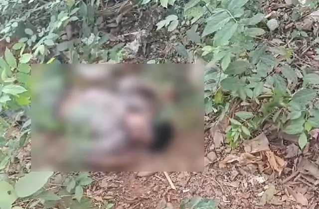 ದೆಂದೂರುಕಟ್ಟೆ ಮನೋಜ್ ಬಾರ್ ಬಳಿ ಯುವಕನ ಮೃತದೇಹ ಪತ್ತೆ - News Karnataka