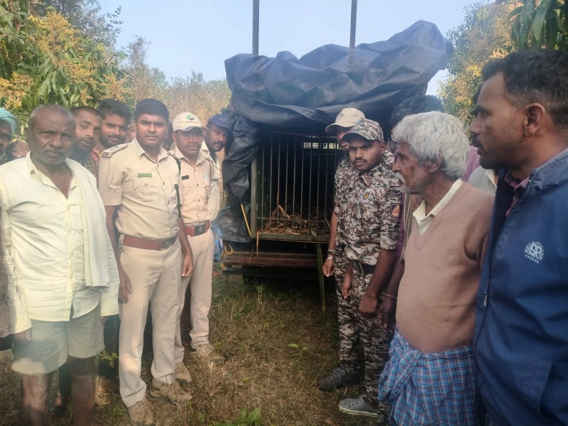 ಮೈಸೂರು : ಬೋನಿಗೆ ಬಿದ್ದ ಚಿರತೆ - News Karnataka