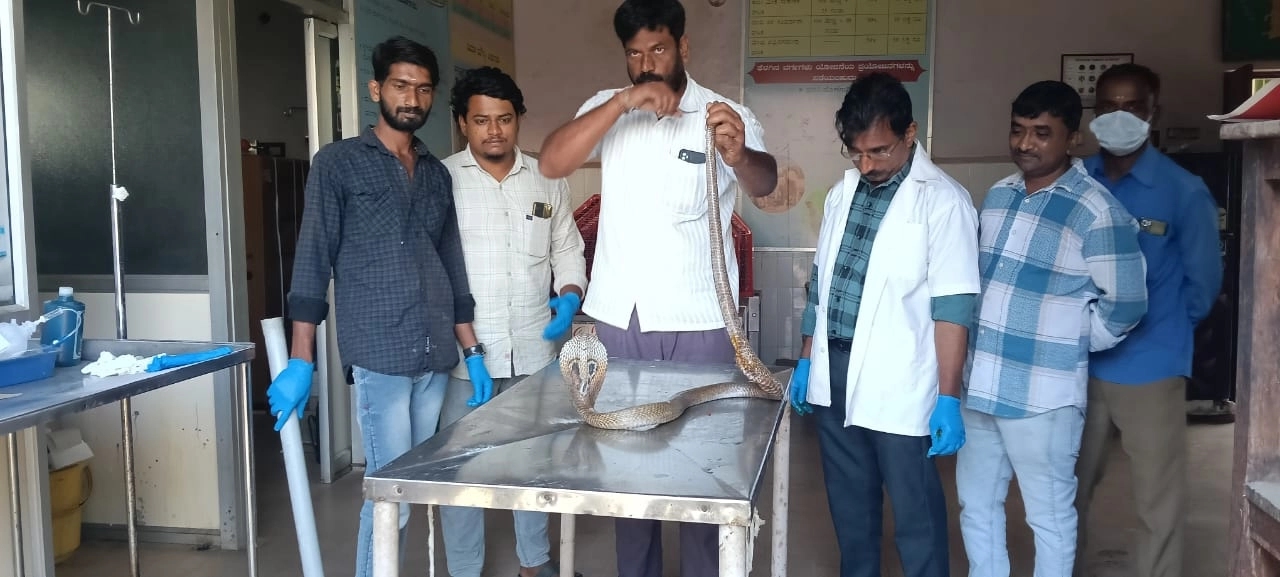 ಚಲಿಸುತ್ತಿದ್ದ ಬೈಕಿಗೆ ನುಗ್ಗಿದ ನಾಗಪ್ಪ: ಬೈಕ್ ಸವಾರ ಪ್ರಾಣಾಪಾಯದಿಂದ ಪಾರು - News Karnataka