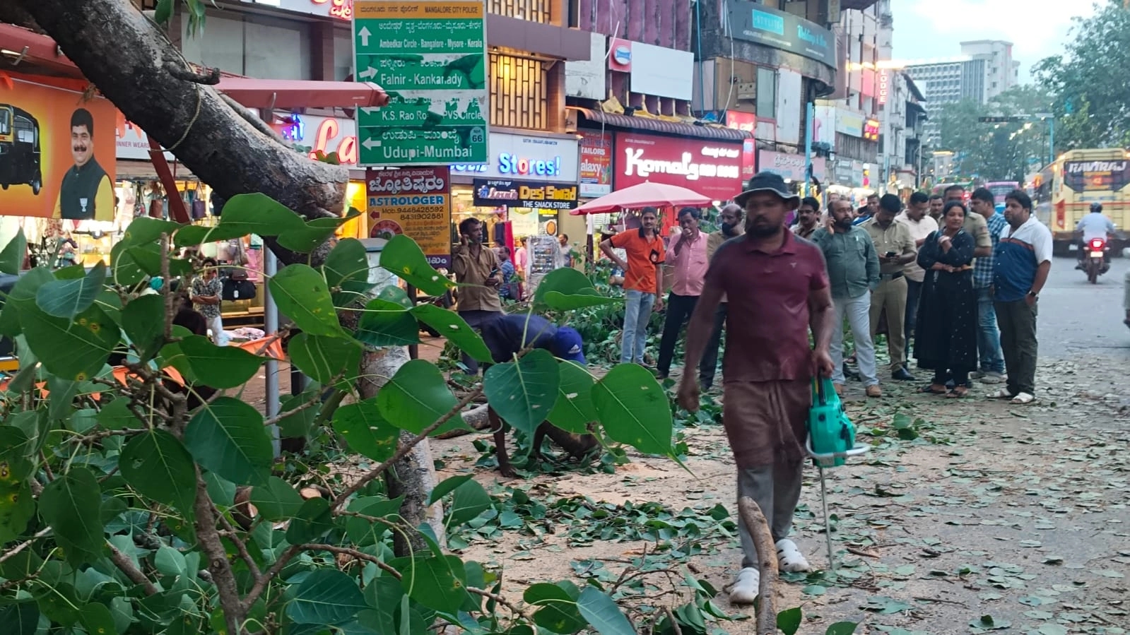 ಮಂಗಳೂರು: ದೈತ್ಯಾಕಾರದ ಮರದ ಕೊಂಬೆ ಮುರಿದು ಬಿದ್ದು ಮೂರು ವಿದ್ಯಾರ್ಥಿನಿಯರಿಗೆ ಗಾಯ - News Karnataka