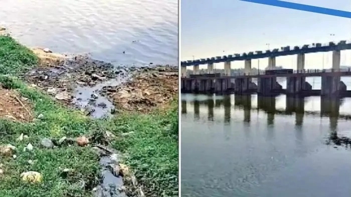 ಮಂಗಳೂರಿಗರು ಕುಡಿಯುವ ತುಂಬೆ ಡ್ಯಾಂ ನೀರು ಕಲುಷಿತ! ಗೊತ್ತಿದ್ದರೂ ಗೊತ್ತಿಲ್ಲದಂತೆ ಇದ್ದಾರಾ ಅಧಿಕಾರಿಗಳು? - News Karnataka