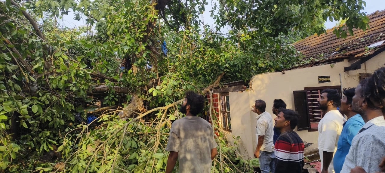 ಅವಾಂತರ ಸೃಷ್ಟಿಸಿದ ಬಿರುಗಾಳಿ, ಮಳೆ – ಧರೆಗುರುಳಿದ ಮರಗಳು, ಮನೆಗಳಿಗೆ ಹಾని - News Karnataka