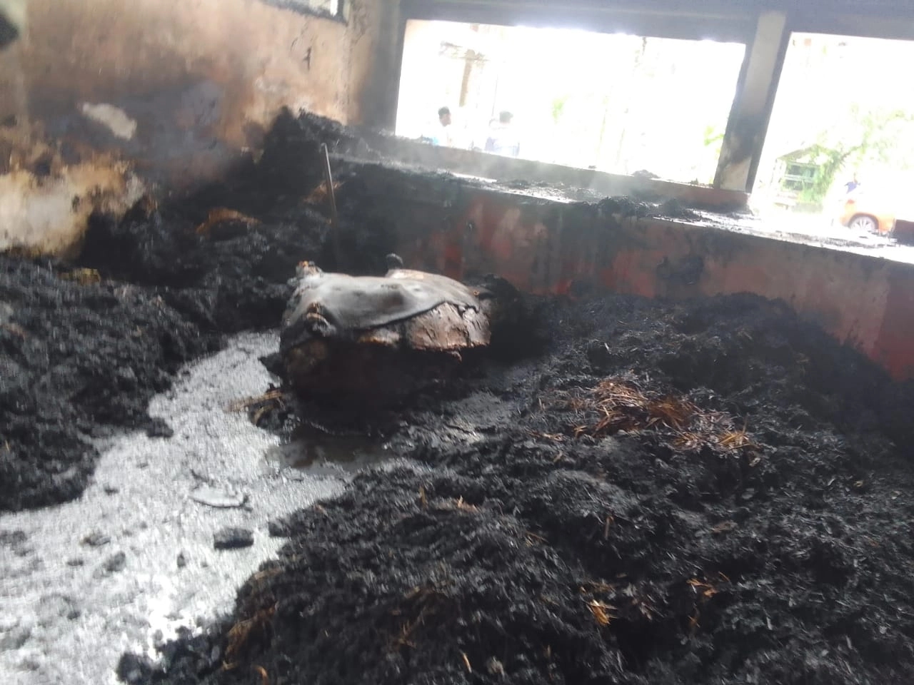 ಕಾರ್ಕಳ: ಹಟ್ಟಿಯಲ್ಲಿ ಅಗ್ನಿ ಅವಘಡ; ಎರಡು ಕಂಬಳದ ಕೋಣಗಳು ಸುಟ್ಟು ಕರಕಲು - News Karnataka
