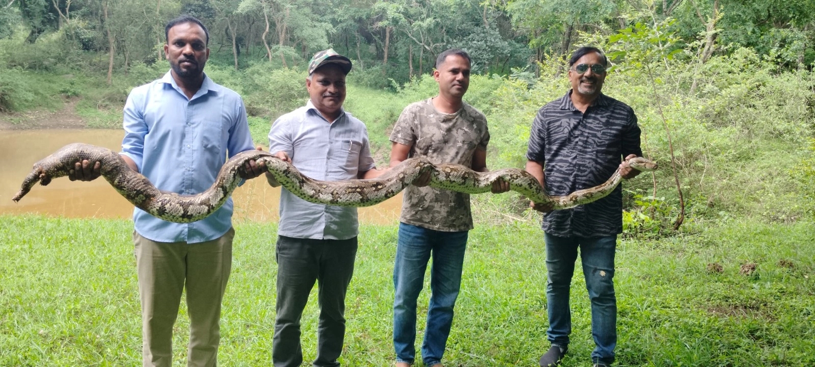 ತೋಟದಲ್ಲಿ ಕಾಣಿಸಿಕೊಂಡ ಭಾರೀ ಗಾತ್ರದ ಹೆಬ್ಬಾವು ರಕ್ಷಣೆ - News Karnataka