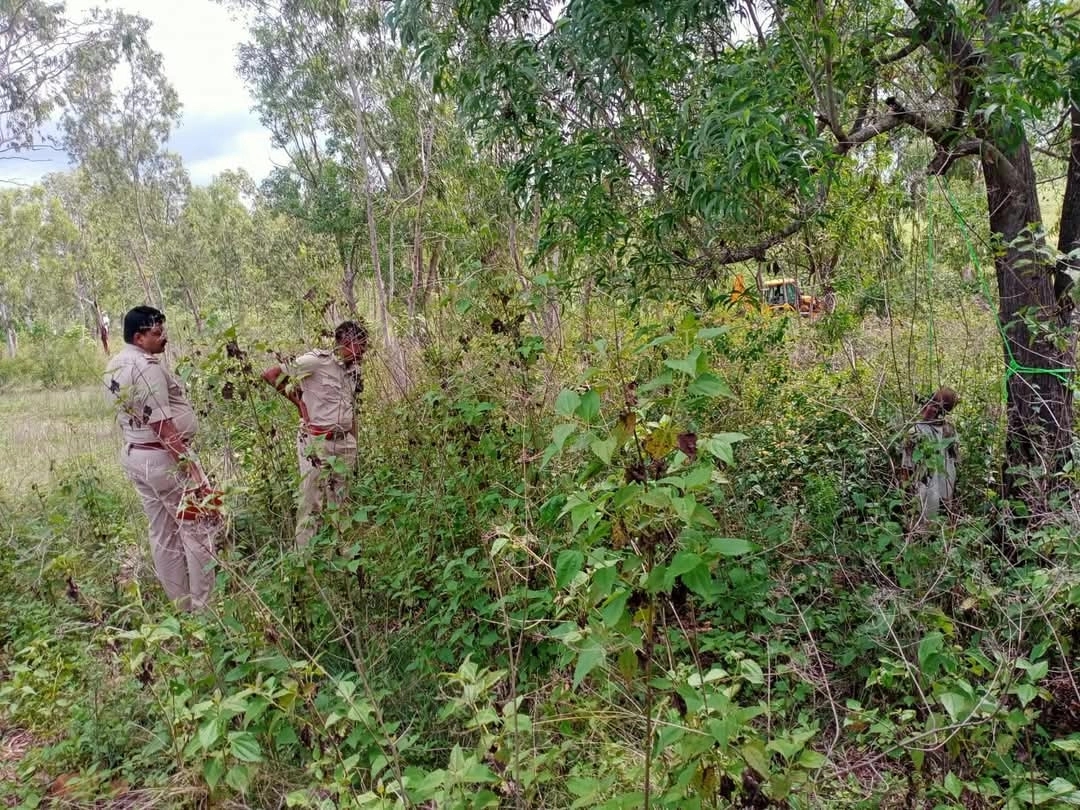ಮರಕ್ಕೆ ನೇಣು ಬಿಗಿದುಕೊಂಡು ವೃದ್ದ ದಂಪತಿ ಆತ್ಮಹತ್ಯೆ - News Karnataka