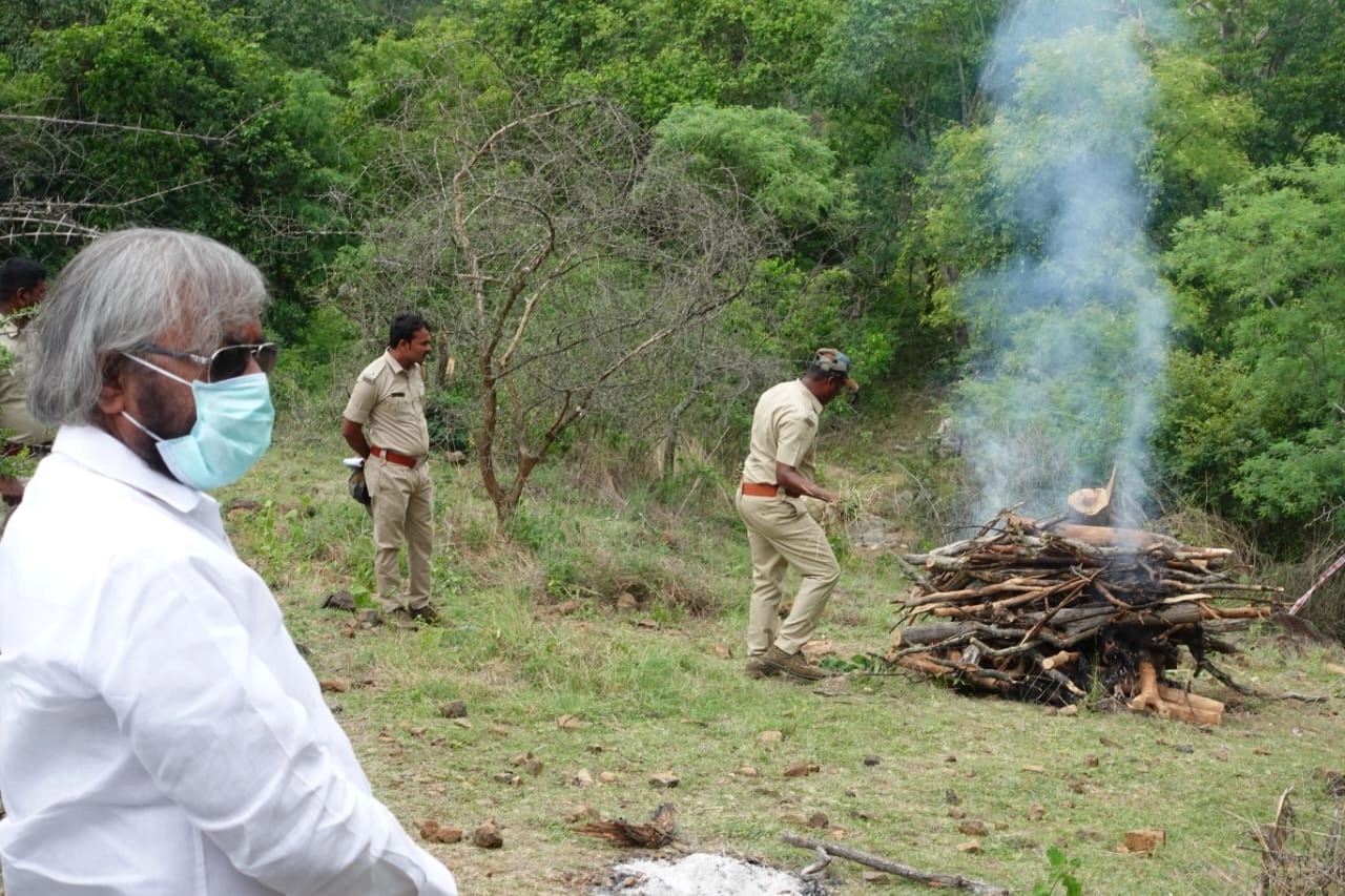 ಮರಣೋತ್ತರ ಪರೀಕ್ಷೆ ಮುಕ್ತಾಯ ವಿಷಪ್ರಾಶನದಿಂದ ಸಾವು – ಅರಣ್ಯ ಸಚಿವರಿಂದ ಪರಿಶೀಲನೆ - News Karnataka