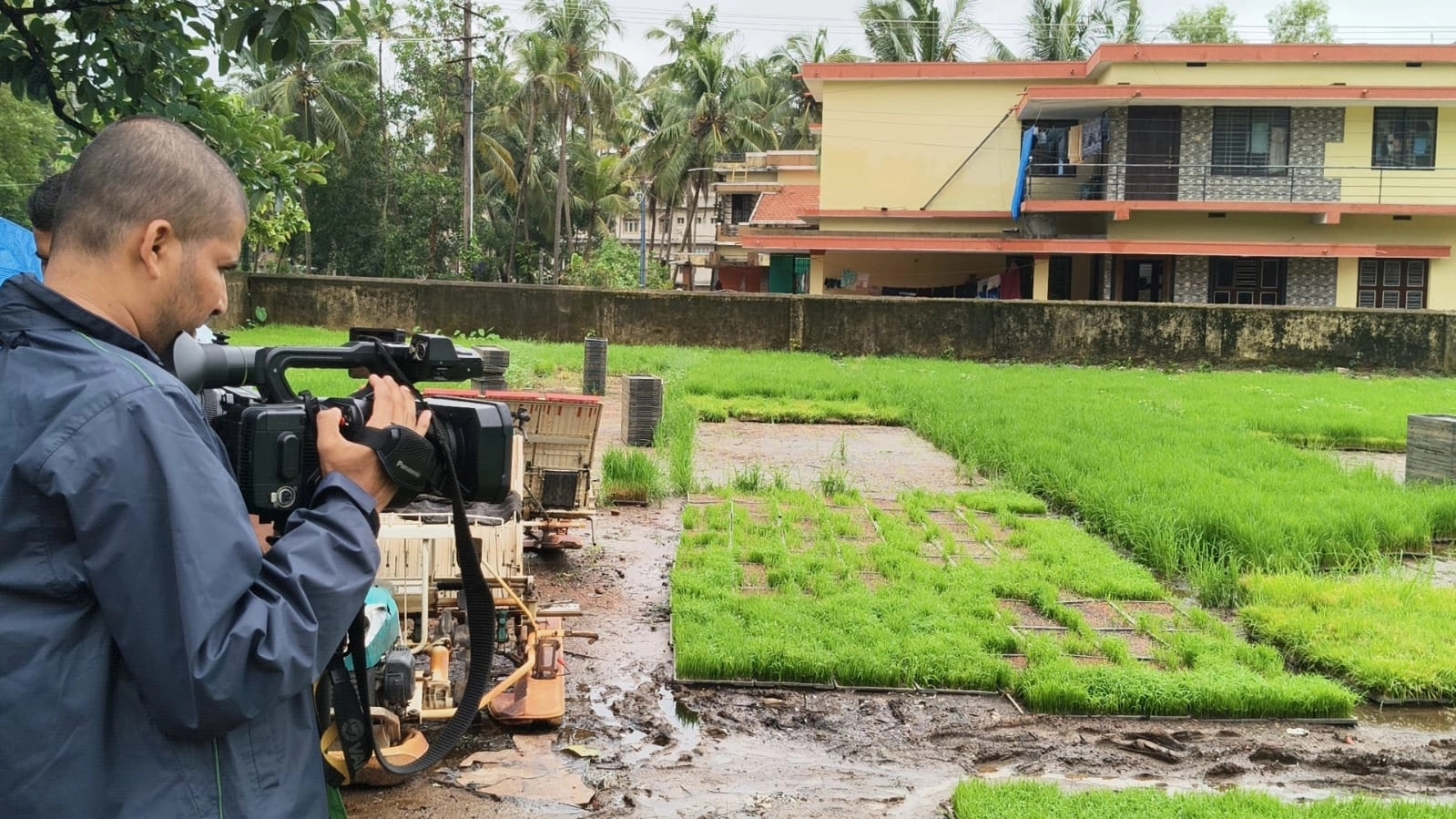 ಉಡುಪಿ ಜಿಲ್ಲೆಯಾದ್ಯಂತ ಭತ್ತದ ಕೃಷಿ ಕಾರ್ಯ ಬಿರುಸು; ಕೃಷಿಕರಿಂದ ಬೀಜ ಬಿತ್ತನೆ ಆರಂಭ - News Karnataka
