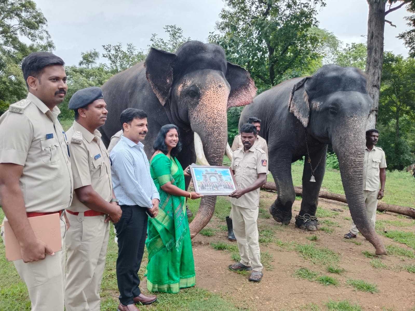 ದಸರಾ ಜಂಬೂ ಸವಾರಿ ಮೆರವಣಿಗೆಗಾಗಿ ಗಜಪಡೆ ಆಯ್ಕೆ ಪ್ರಕ್ರಿಯೆ! - News Karnataka