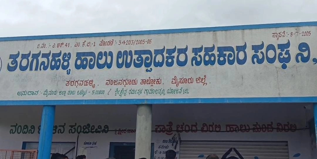ಹಾಲಿಗೆ ನೀರು ಪೌಡರ್ ಮಿಕ್ಸ್, ದೃಶ್ಯ ಮೊಬೈಲ್ ನಲ್ಲಿ ಸೆರೆ! - News Karnataka