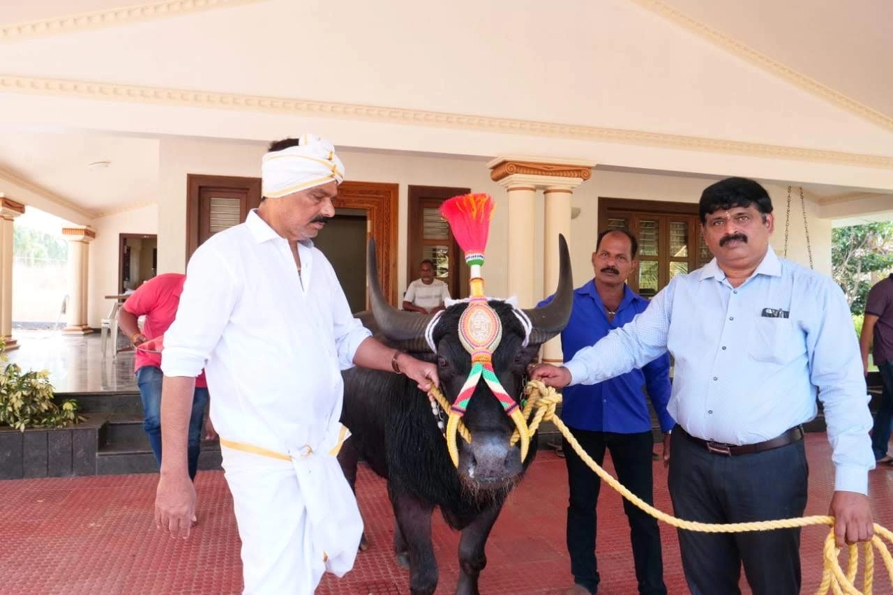 ಕಂಬಳ ಲೋಕದ ಬಂಗಾರ ಕೊಳಚೂರು ಕೊಂಡೊಟ್ಟು”ಚೆನ್ನ” ಇನ್ನಿಲ್ಲ - News Karnataka