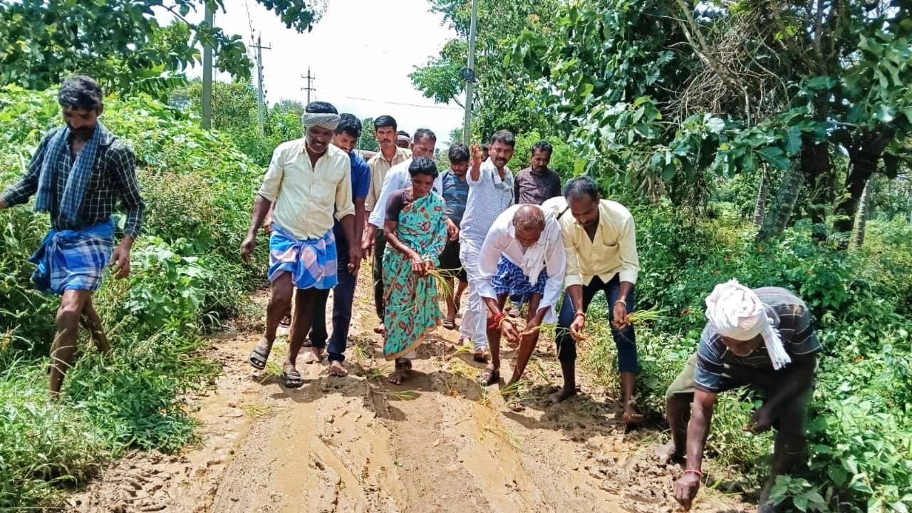 ಇದು ರಸ್ತೆಯೋ, ಗದ್ದೆಯೋ..? ರಸ್ತೆಯಲ್ಲಿ ಭತ್ತದ ನಾಟಿ ಮಾಡಿ ಗ್ರಾಮಸ್ಥರ ಆಕ್ರೋಶ! - News Karnataka