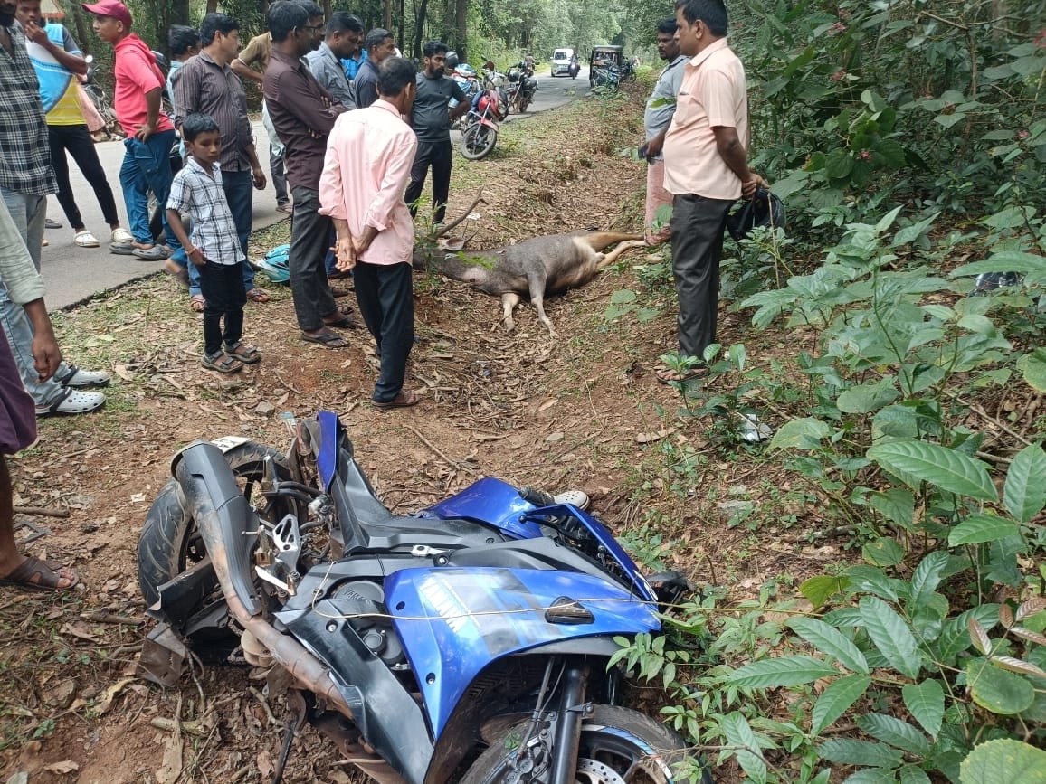 ಕಮಲಶಿಲೆ: ರಸ್ತೆಗೆ ಅಡ್ಡ ಬಂದ ಕಡವೆಗೆ ಬೈಕ್ ಡಿಕ್ಕಿ; ಸವಾರ ಮೃತ್ಯು, ಸಹಸವಾರ ಗಂಭೀರ - News Karnataka