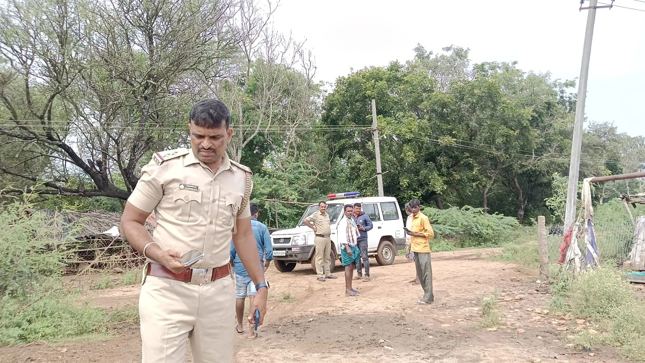 ಹಂದಿ ಸಾಕಾಣಿಕೆಯ ನೆಪವೊಡ್ಡಿ ಗೋಮಾಂಸ ಮಾರಾಟ..! - News Karnataka