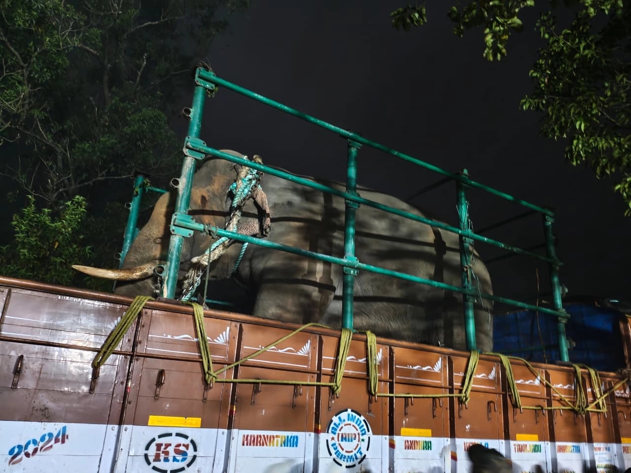 ಕೆರೆಕಟ್ಟೆ ಪ್ರದೇಶದ ಇಬ್ಬರ ಸಾವಿಗೆ ಕಾರಣವಾದ ಕಾಡಾನೆ ಸೆರೆ - News Karnataka