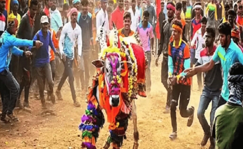 ಹೋರಿ ಬೆದರಿಸುವ ಸ್ಪರ್ಧೆ; ಹೋರಿ ತಿವಿದು ವೃದ್ಧ ಮೃತ್ಯು - News Karnataka