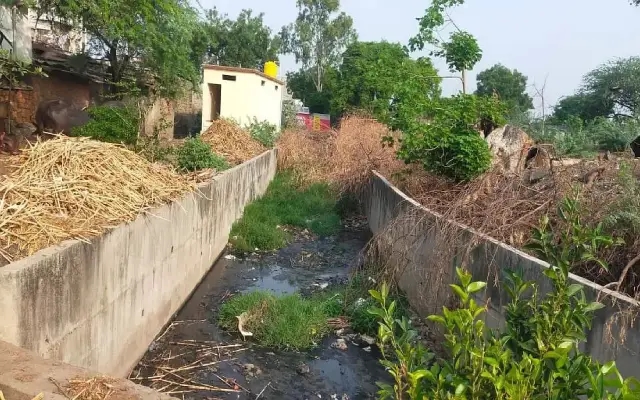 ಬೀದರ್: ಮಳೆಗಾಲ ಸಮೀಪಿಸಿದರೂ ಸ್ವಚ್ಛಗೊಳ್ಳದ ರಾಜಕಾಲುವೆ - News Karnataka