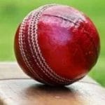 Cricket Ball 10082021