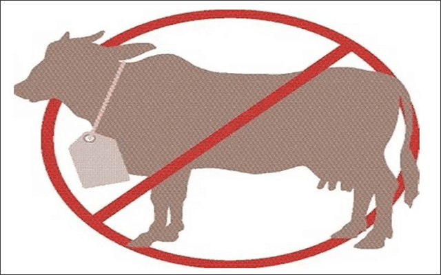 Strict action will be taken against those who violate the ban on cattle slaughter