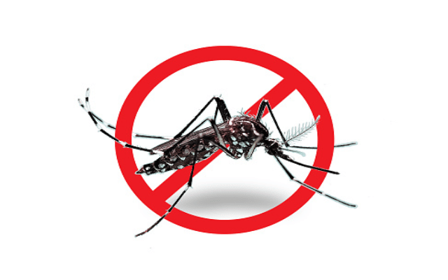 47 dengue cases reported in a single day