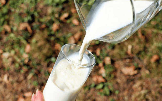 Plans to increase milk incentives